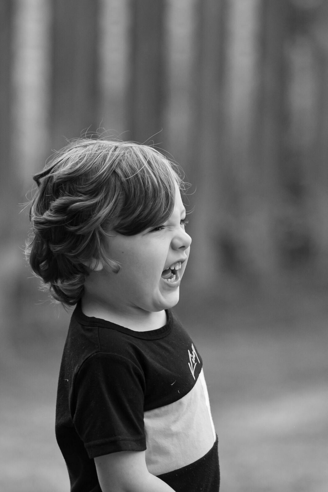 Foto Family  - Imagem 43