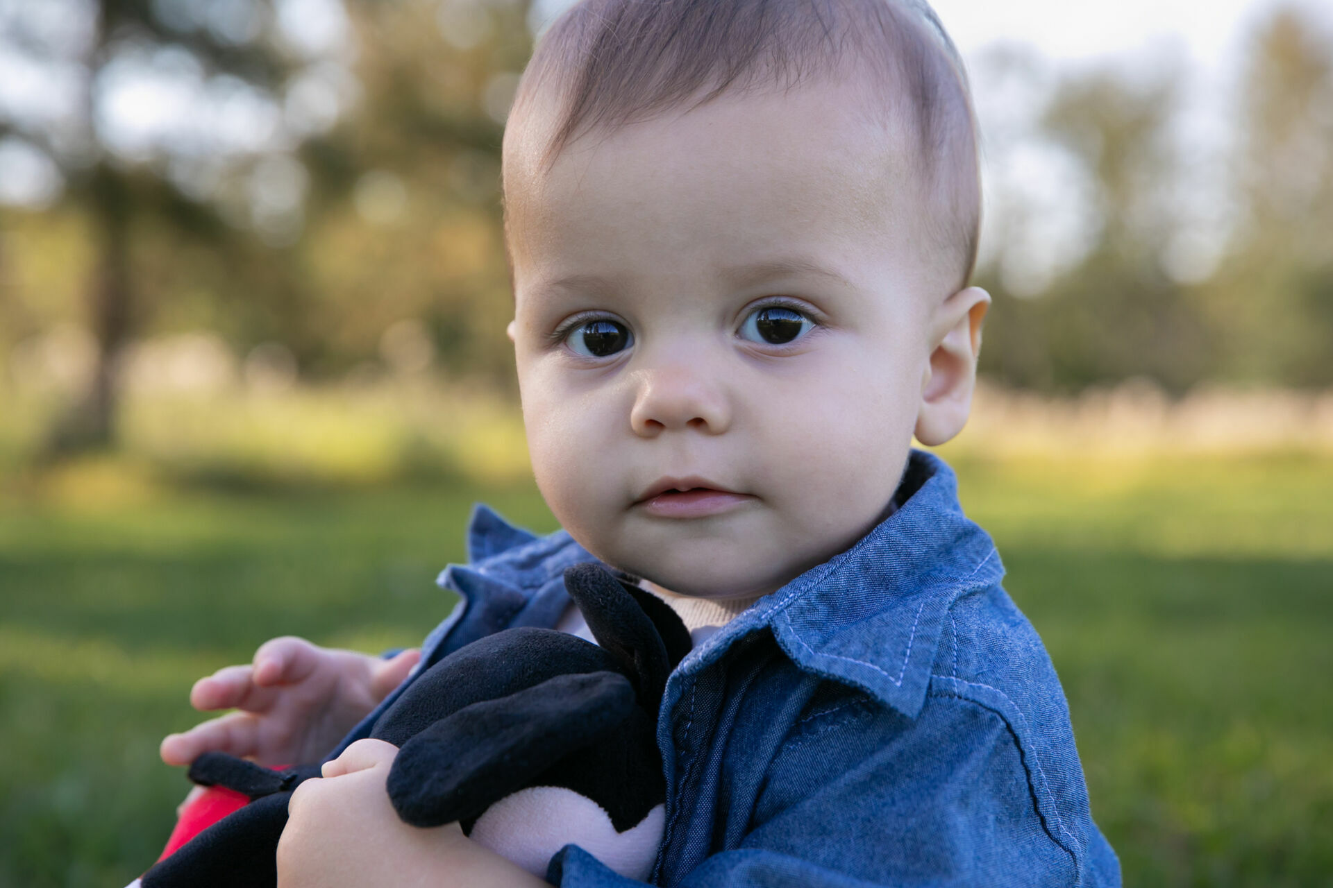 Foto Edmonton - Canada  - Imagem 24