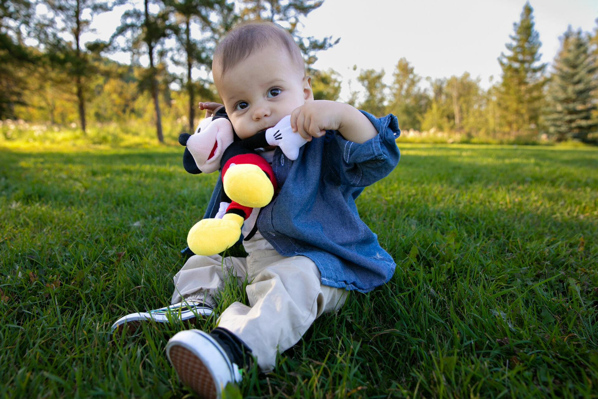 Foto Edmonton - Canada  - Imagem 23