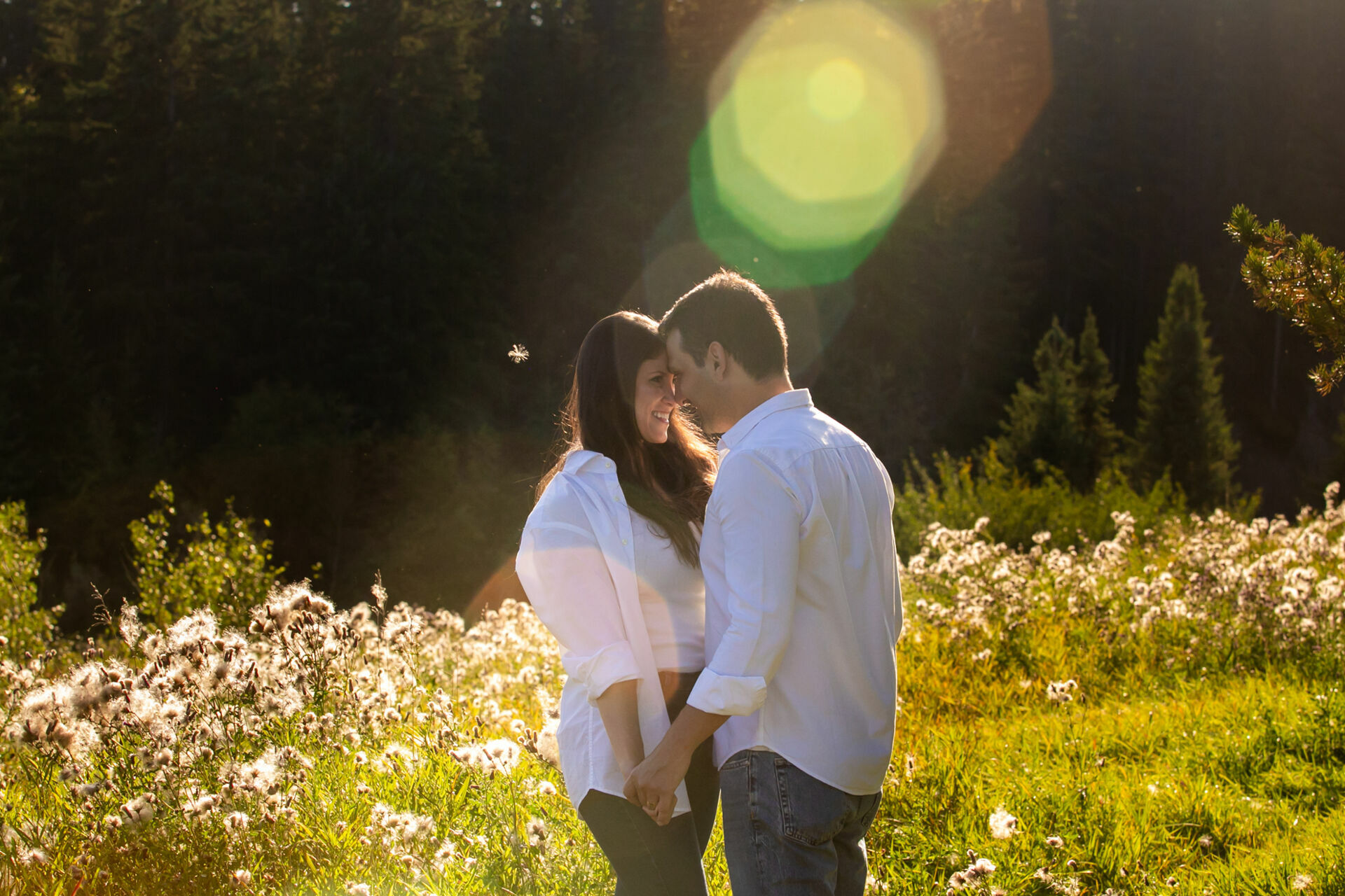 Foto Edmonton - Canada  - Imagem 3