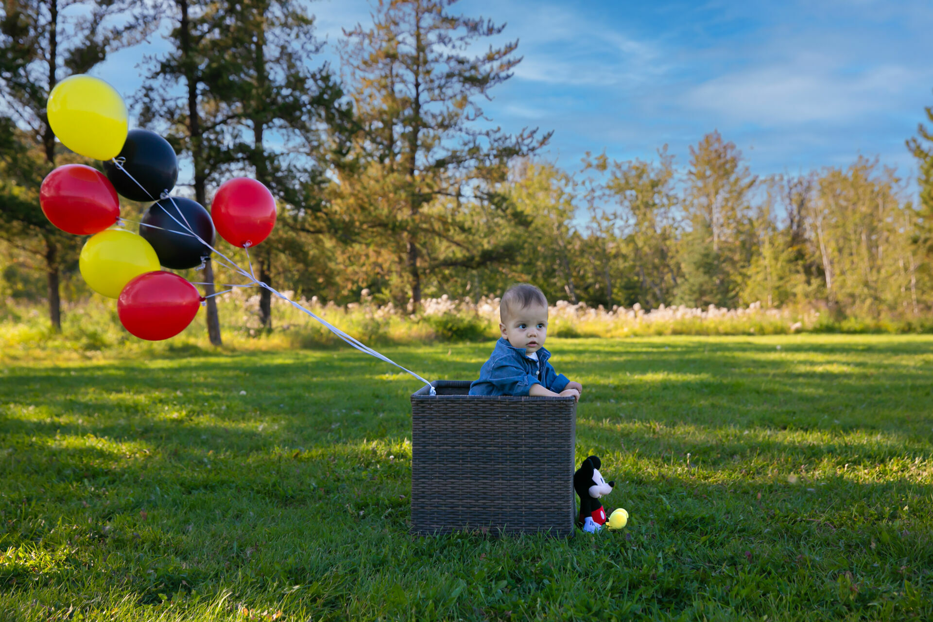 Foto Edmonton - Canada  - Imagem 28