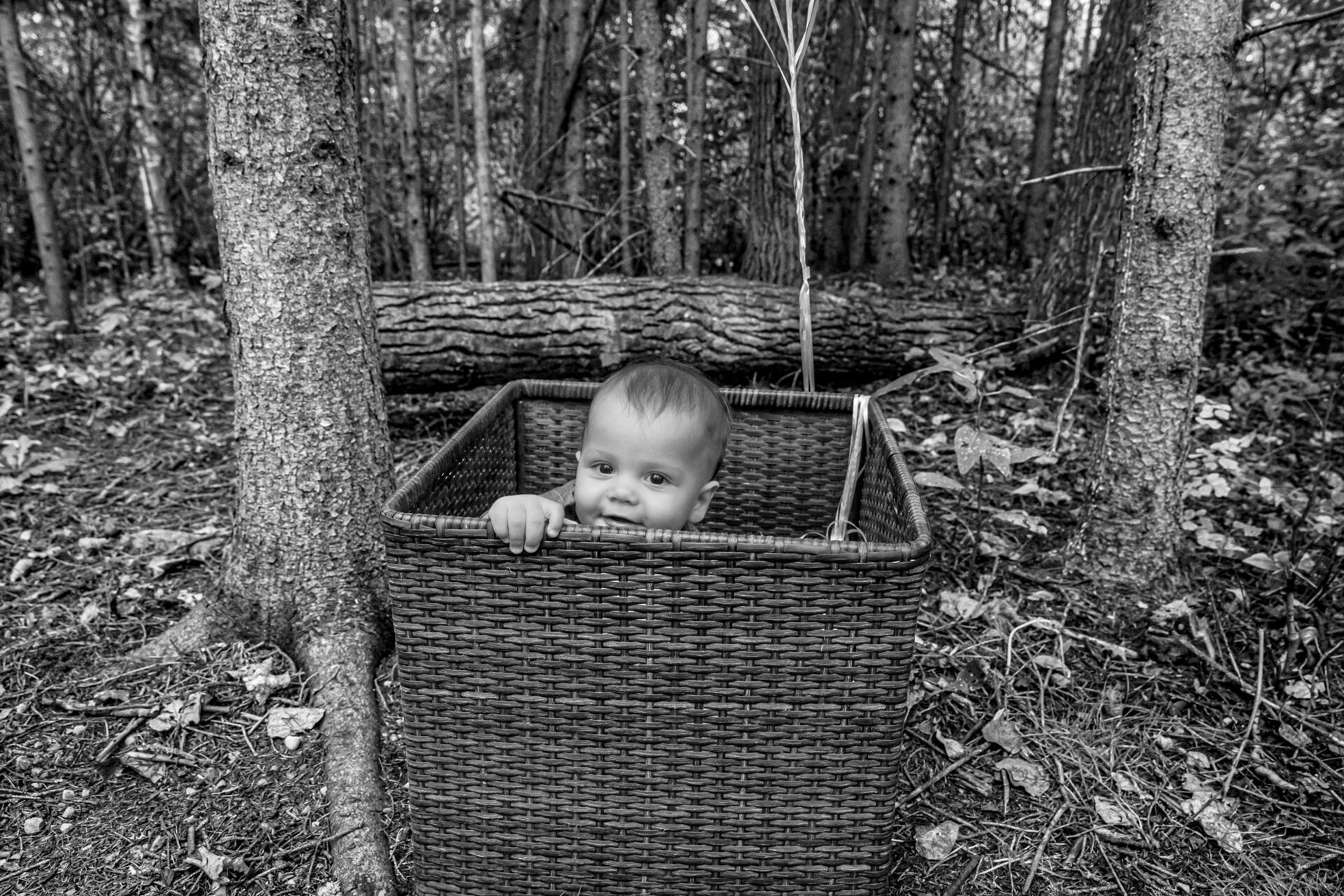 Foto Edmonton - Canada  - Imagem 12