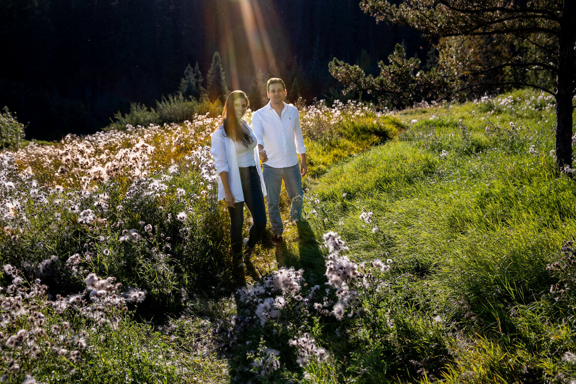 Foto Edmonton - Canada  - Imagem 20