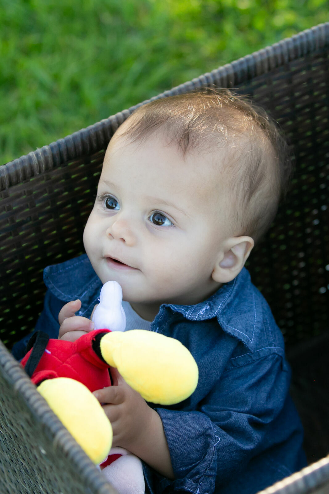 Foto Edmonton - Canada  - Imagem 8