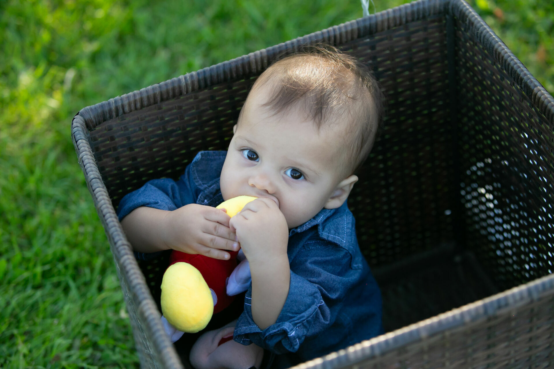 Foto Edmonton - Canada  - Imagem 4