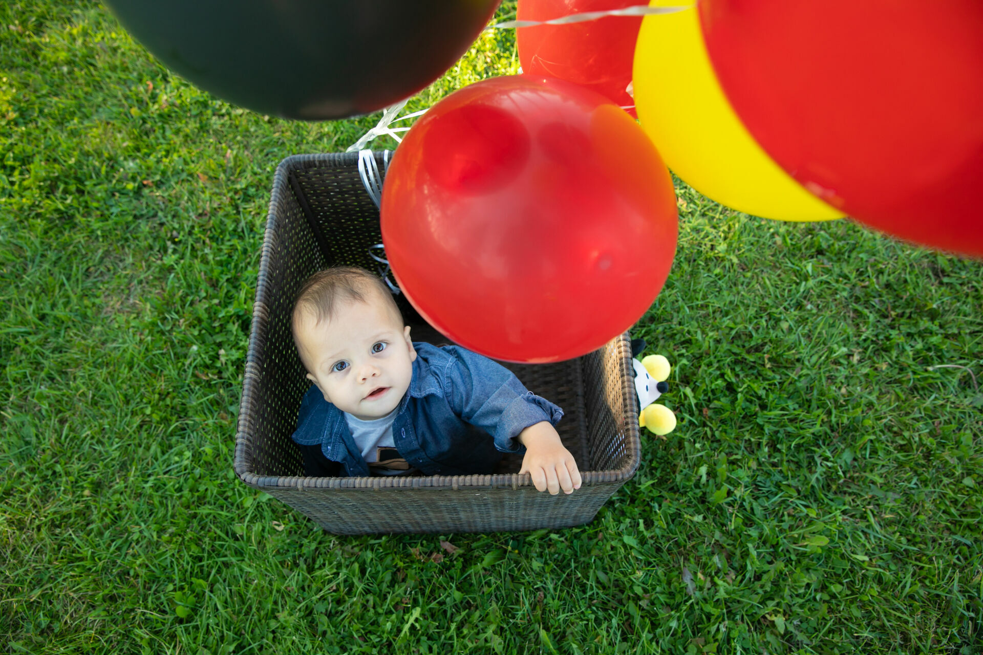 Foto Edmonton - Canada  - Imagem 26