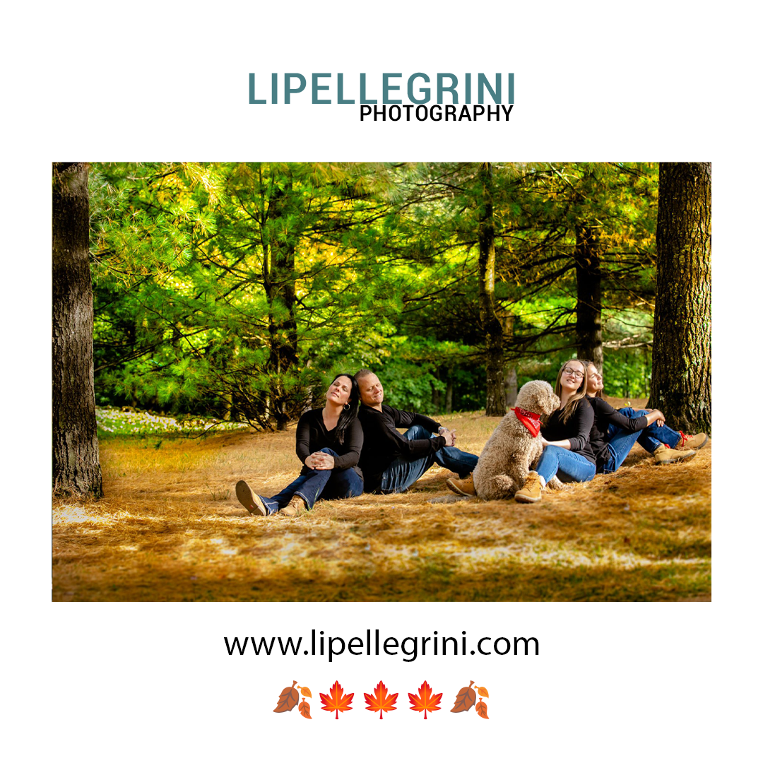 Foto Fall Sessions  - Imagem 1