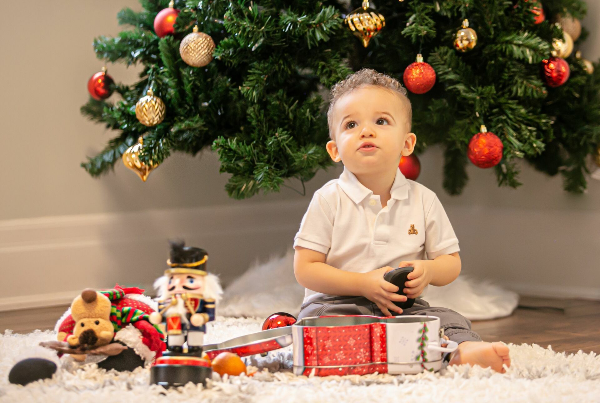 Foto Christmas Mini Sessions Foto Christmas Mini Sessions - Imagem 18