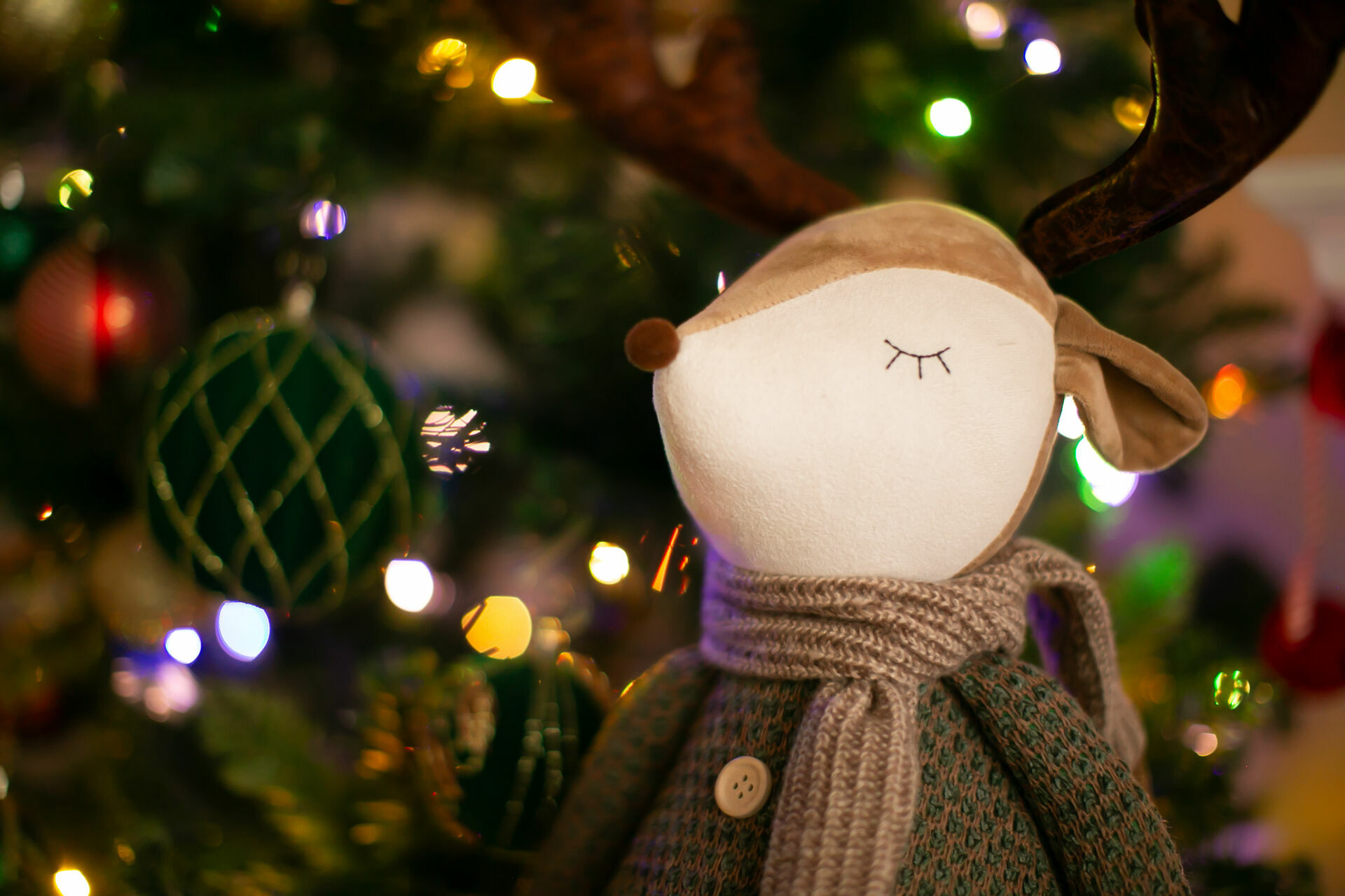 Foto Christmas Mini Sessions Foto Christmas Mini Sessions - Imagem 20