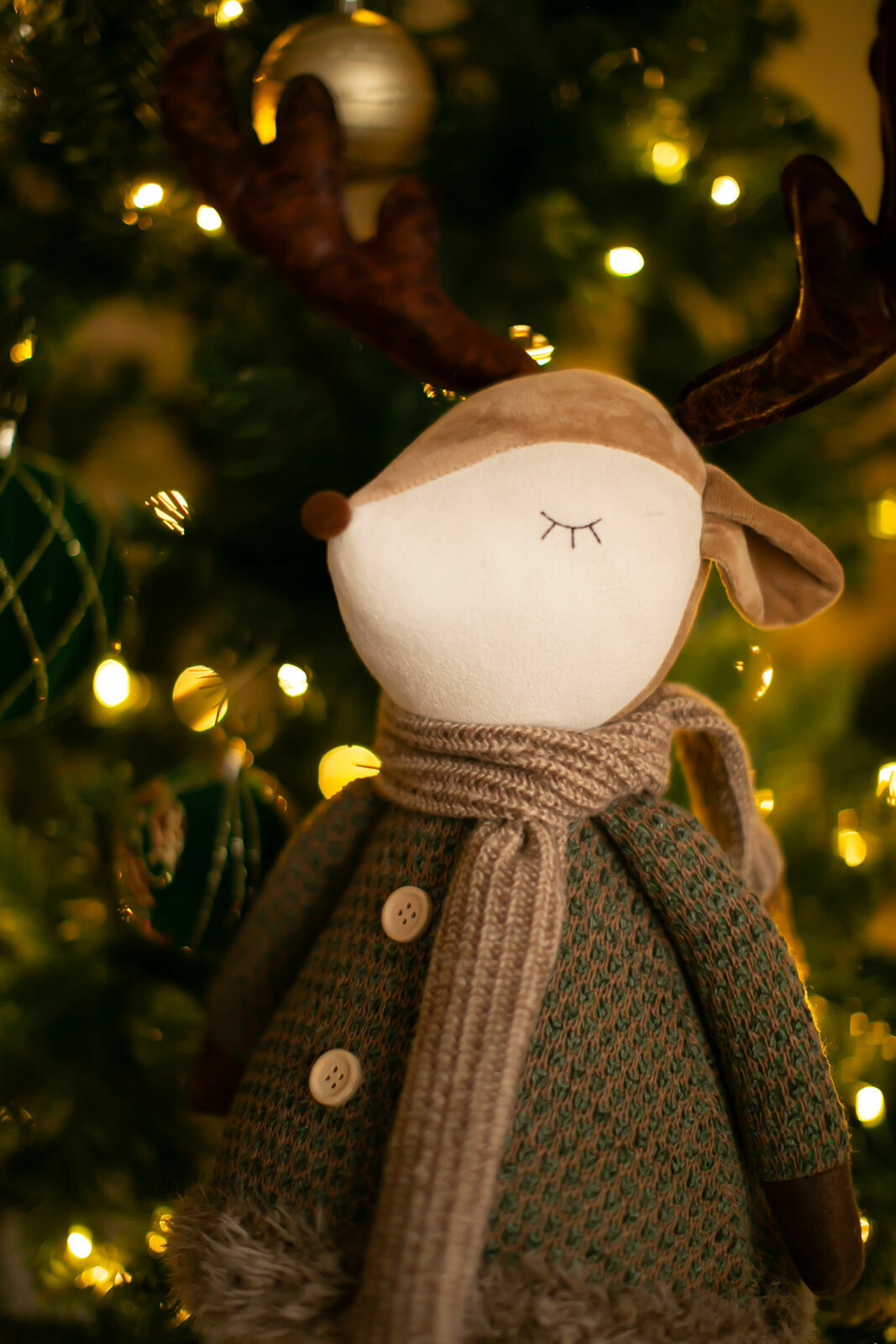 Foto Christmas Mini Sessions Foto Christmas Mini Sessions - Imagem 19