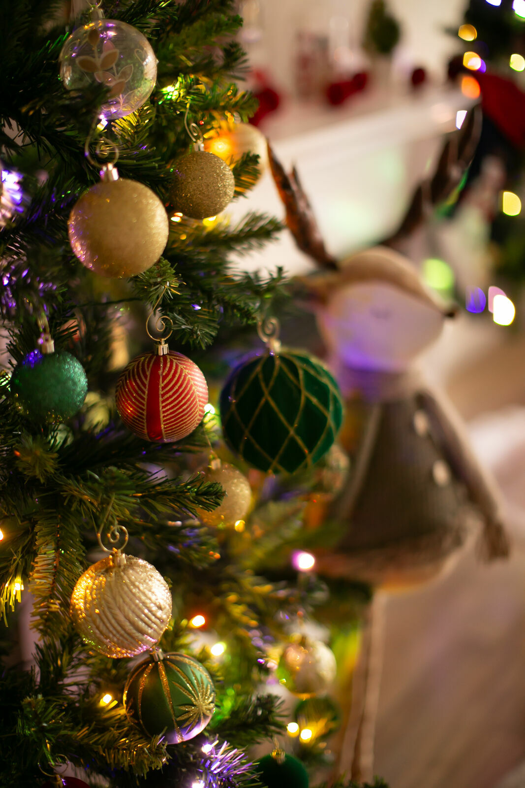 Foto Christmas Mini Sessions Foto Christmas Mini Sessions - Imagem 31