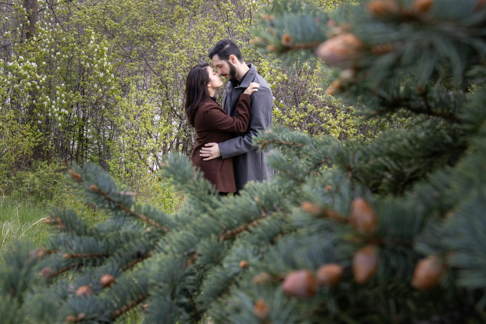 Foto Canada -  Pre Wedding - Imagem 4